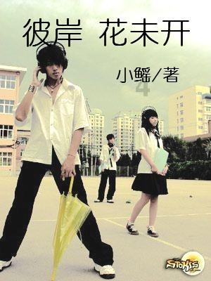 一加12为什么能够获得如此高的称赞？